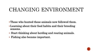 Those who hunted these animals now followed them.
Learning about their food habits and their breeding
seasons.
 Start t...