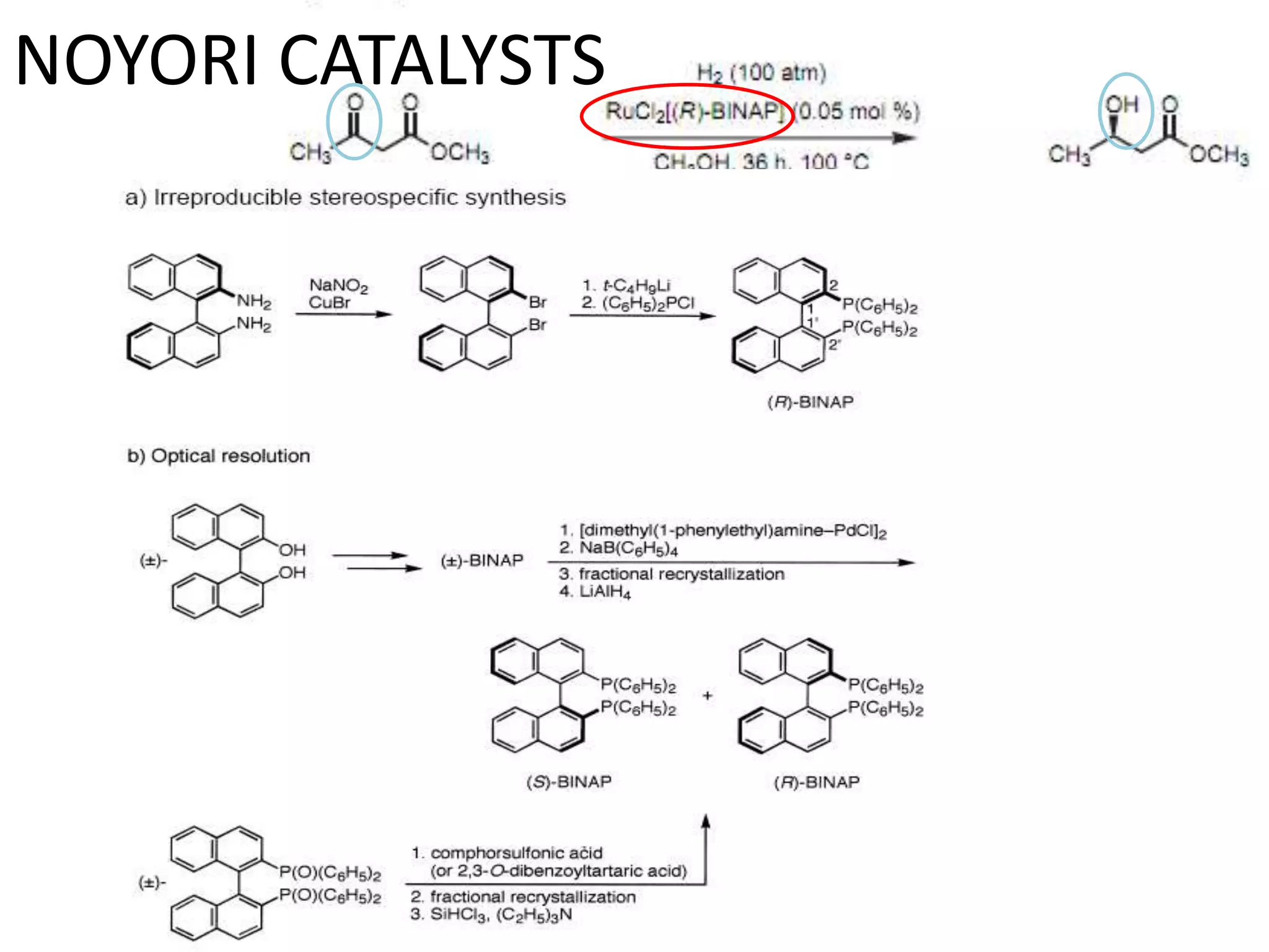 NOYORI CATALYSTS
 