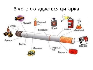 З чого складається цигарка
 
