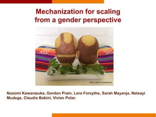 Mechanization for scaling from a gender perspective