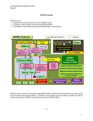 UNEP/CBD/NP/COP-MOP/1/INF/8
Page 30
/…
NIEMA Scheme
NIEMA covers:
1. Registration of microbial strains into the NIEMA system
2. Exchange of the microbial strains between NIEMA MRCs
3. Distribution of the NIEMA strains from NIEMA MRCs to third parties
NIEMA strains which are exchanged among NIEMA MRCs and distributed to third parties are utilized only
for non-commercial research purposes. A NIEMA Clearing-House stores and makes available any data of
transfer information of NIEMA microbial strains between NIEMA MRCs.
-----
 