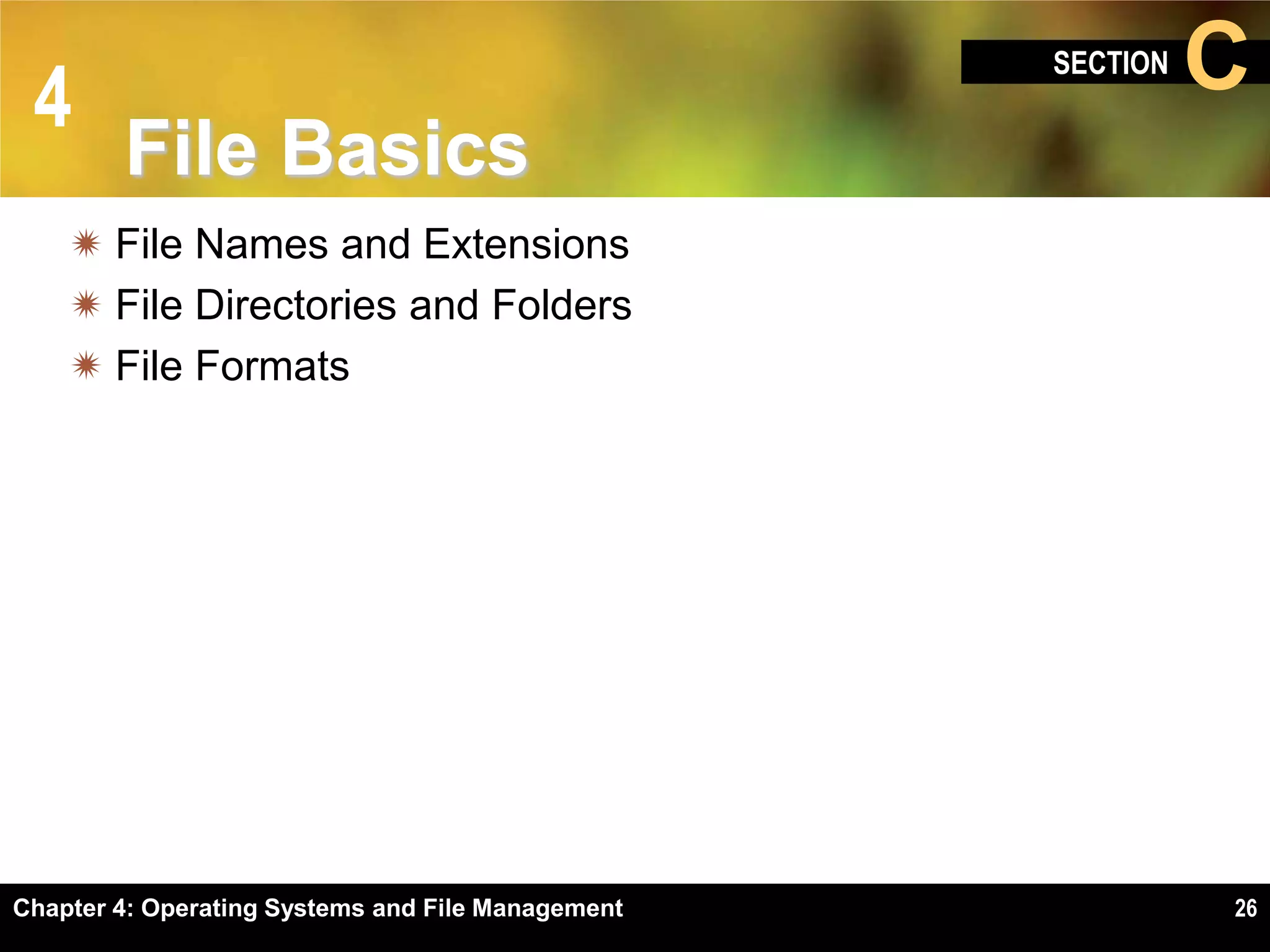 4
                                                   SECTION   C
        File Basics
     File Names and Extensions
     File Directories and Folders
     File Formats




Chapter 4: Operating Systems and File Management             26
 