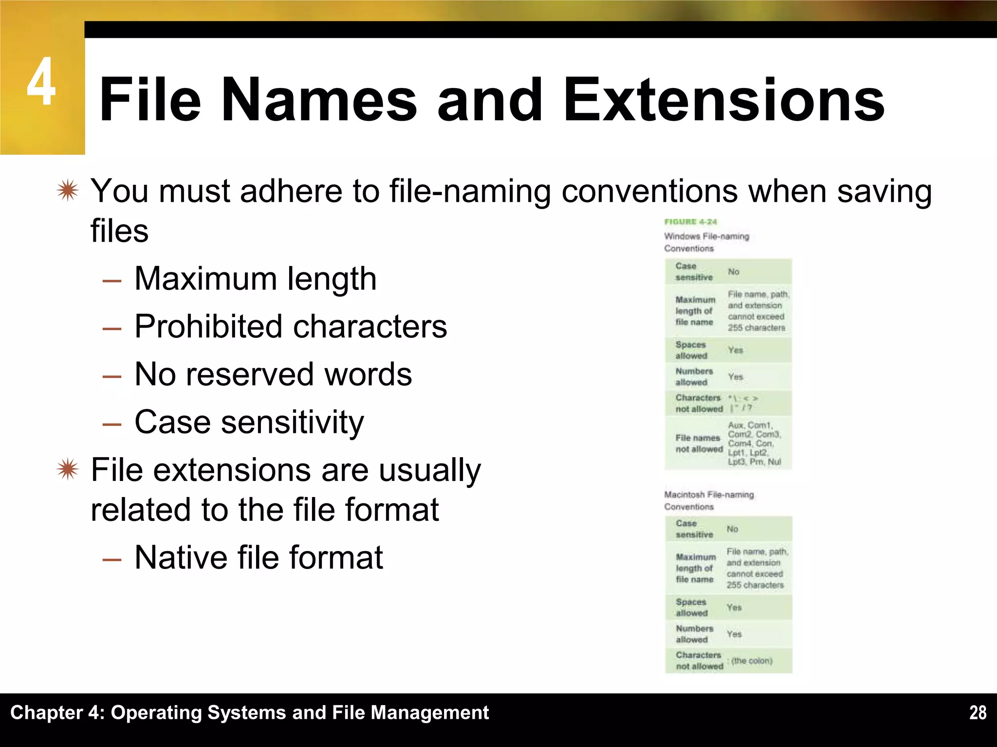 4 File Names and Extensions
     You must adhere to file-naming conventions when saving
      files
       – Maximum length
       – Prohibited characters
       – No reserved words
       – Case sensitivity
     File extensions are usually
      related to the file format
       – Native file format



Chapter 4: Operating Systems and File Management               28
 