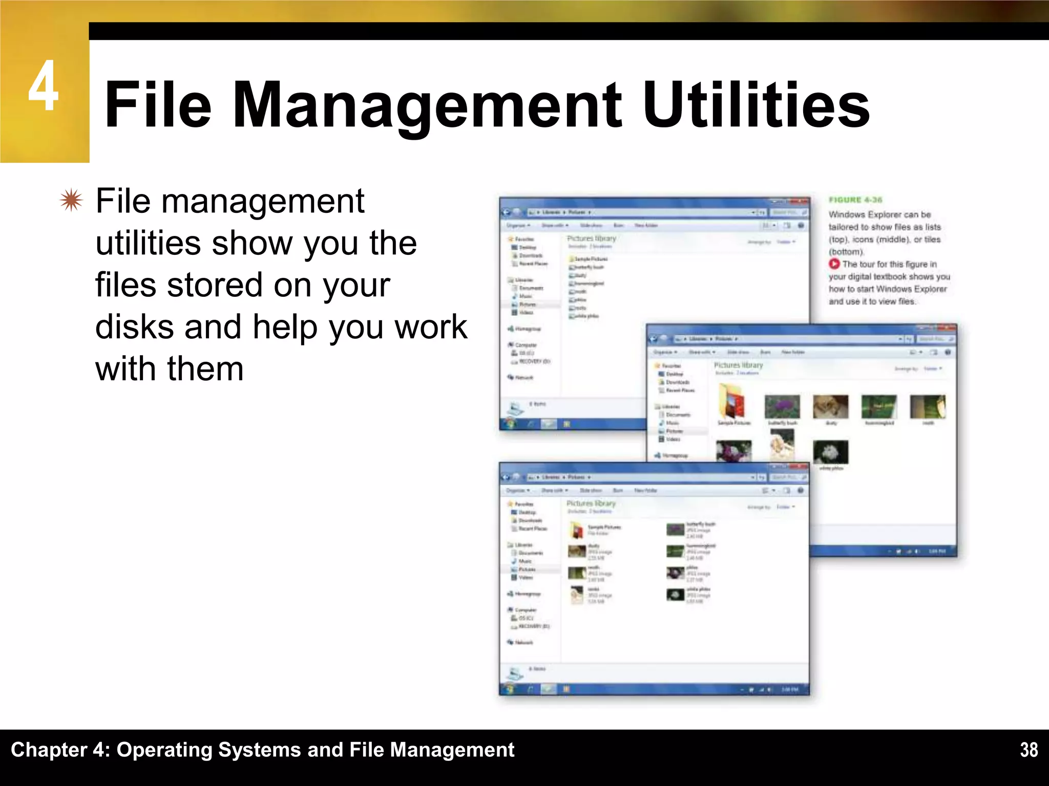 4 File Management Utilities
     File management
      utilities show you the
      files stored on your
      disks and help you work
      with them




Chapter 4: Operating Systems and File Management   38
 