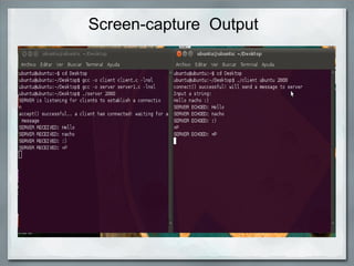 Screen-capture Output 