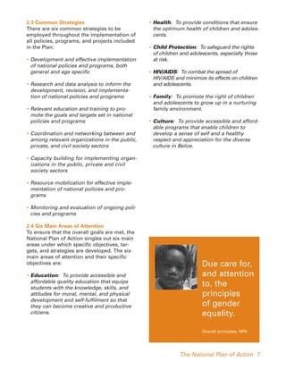 National Plan of Action | PDF