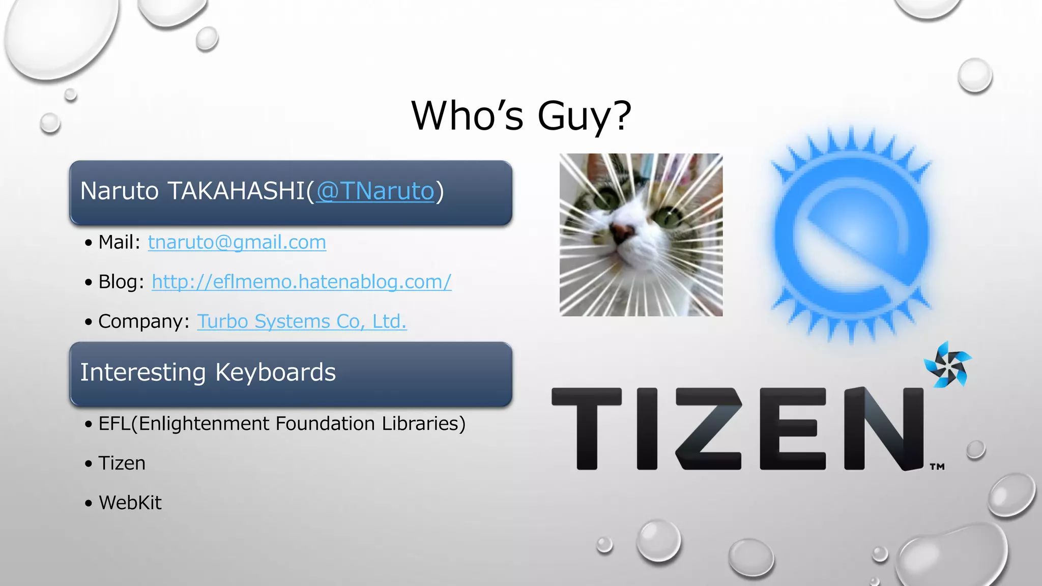 Who’s Guy?
Naruto TAKAHASHI(@TNaruto)
• Mail: tnaruto@gmail.com
• Blog: http://eflmemo.hatenablog.com/
• Company: Turbo Systems Co, Ltd.
Interesting Keyboards
• EFL(Enlightenment Foundation Libraries)
• Tizen
• WebKit
 