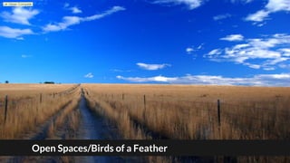 Open Spaces/Birds of a Feather
Let Ideas Compete
 