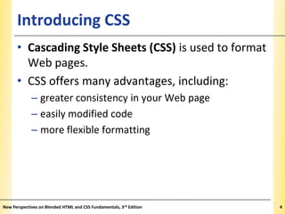 Introducing Cascading Style Sheets | PPT