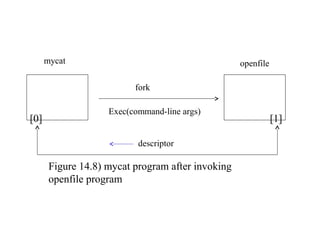 mycat                                        openfile

                          fork

                    Exec(command-line args)
[0]                                                           [1]

                           descriptor

       Figure 14.8) mycat program after invoking
       openfile program
 