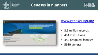 Genesys in numbers
www.genesys-pgr.org
• 3,6 million records
• 434 institutions
• 359 botanical families
• 5939 genera
 