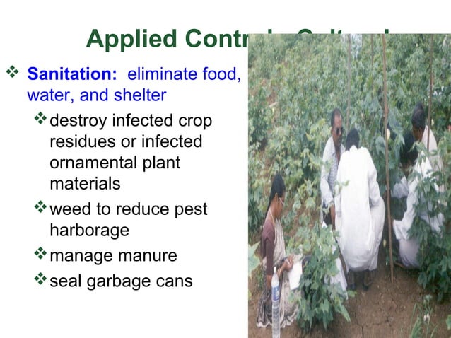 pest_management | PPT