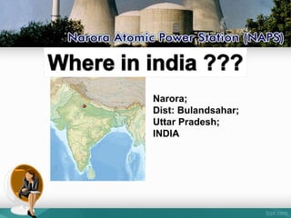 Narora;
Dist: Bulandsahar;
Uttar Pradesh;
INDIA
 