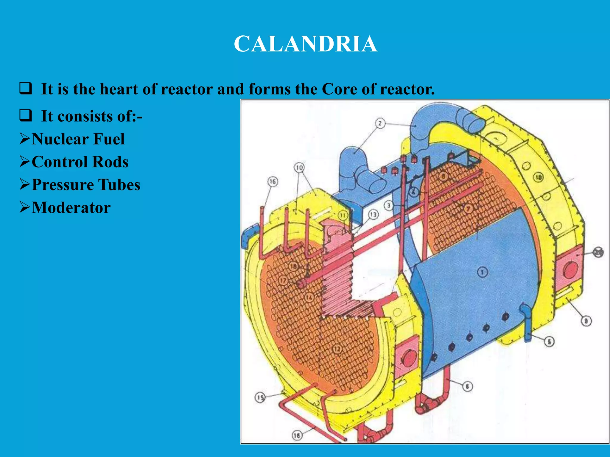 CALANDRIA
 It is the heart of reactor and forms the Core of reactor.
 It consists of:-
Nuclear Fuel
Control Rods
Pressure Tubes
Moderator
 