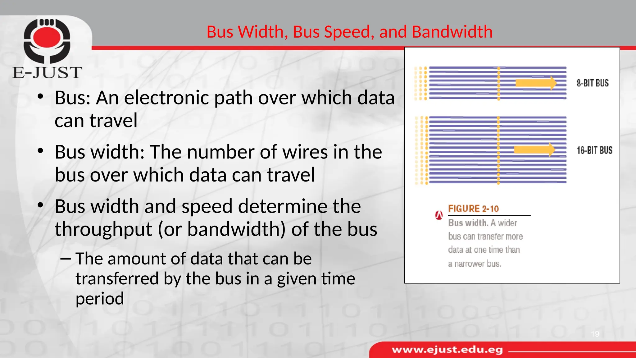 Bus Width, Bus Speed, and Bandwidth
• Bus: An electronic path over which data
can travel
• Bus width: The number of wires in the
bus over which data can travel
• Bus width and speed determine the
throughput (or bandwidth) of the bus
– The amount of data that can be
transferred by the bus in a given time
period
19
 