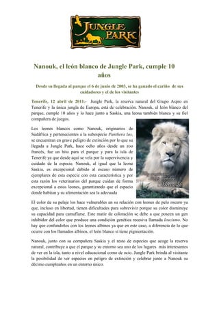 Nanouk, el león blanco de Jungle Park, cumple 10
                       años
  Desde su llegada al parque el 6 de junio de 2003, se ha ganado el cariño de sus
                         cuidadores y el de los visitantes

Tenerife, 12 abril de 2011.- Jungle Park, la reserva natural del Grupo Aspro en
Tenerife y la única jungla de Europa, está de celebración. Nanouk, el león blanco del
parque, cumple 10 años y lo hace junto a Saskia, una leona también blanca y su fiel
compañera de juegos.

Los leones blancos como Nanouk, originarios de
Sudáfrica y pertenecientes a la subespecie Panthera leo,
se encuentran en grave peligro de extinción por lo que su
llegada a Jungle Park, hace ocho años desde un zoo
francés, fue un hito para el parque y para la isla de
Tenerife ya que desde aquí se vela por la supervivencia y
cuidado de la especie. Nanouk, al igual que la leona
Saskia, es excepcional debido al escaso número de
ejemplares de esta especie con esta característica y por
esta razón los veterinarios del parque cuidan de forma
excepcional a estos leones, garantizando que el espacio
donde habitan y su alimentación sea la adecuada

El color de su pelaje los hace vulnerables en su relación con leones de pelo oscuro ya
que, incluso en libertad, tienen dificultades para sobrevivir porque su color disminuye
su capacidad para camuflarse. Este matiz de coloración se debe a que poseen un gen
inhibidor del color que produce una condición genética recesiva llamada leucismo. No
hay que confundirlos con los leones albinos ya que en este caso, a diferencia de lo que
ocurre con los llamados albinos, el león blanco sí tiene pigmentación.

Nanouk, junto con su compañera Saskia y el resto de especies que acoge la reserva
natural, contribuye a que el parque y su entorno sea uno de los lugares más interesantes
de ver en la isla, tanto a nivel educacional como de ocio. Jungle Park brinda al visitante
la posibilidad de ver especies en peligro de extinción y celebrar junto a Nanouk su
décimo cumpleaños en un entorno único.
 