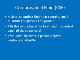 Cerebrospinal Fluid (CSF) A clear, colourless fluid that contains small quantities of glucose and protein Fills the ventricles of the brain and the central canal of the spinal cord Production by choroid plexus in lateral ventricle at 20ml/hr 