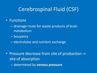 Functions drainage route for waste products of brain metabolism bouyancy electrolytes and nutrient exchange Pressure decrease from site of production -> site of absorption determined by  venous pressure Cerebrospinal Fluid (CSF) 