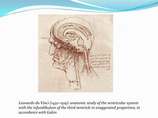 Leonardo da Vinci (1452–1519): anatomic study of the ventricular system
with the infundibulum of the third ventricle in exaggerated proportion, in
accordance with Galen

 