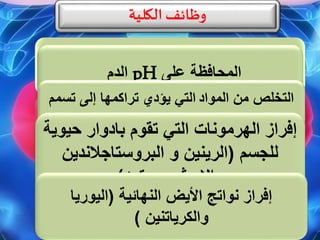 ‫الكلية‬‫وظائف‬
‫الماء‬ ‫كمية‬ ‫تنظيم‬‫و‬‫الصوديوم‬‫الج‬ ‫في‬‫سم‬ ‫على‬ ‫المحافظة‬pH‫الدم‬
‫من‬ ‫التخلص‬‫ال‬‫مواد‬‫التي‬‫تسمم‬ ‫إلى‬ ‫تراكمها‬ ‫يؤدي‬
‫الجسم‬
‫إفراز‬‫الهرمونات‬‫حيو‬ ‫بادوار‬ ‫تقوم‬ ‫التي‬‫ية‬
‫للجسم‬(‫الرينين‬‫و‬‫البروستاجالندين‬
‫و‬‫اإلريثروبيوتين‬)
‫نواتج‬ ‫إفراز‬‫األيض‬‫النهائية‬(‫اليوريا‬
‫والكرياتنين‬)
 