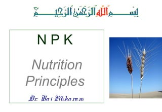 N P K
Nutrition
Principles
Dr. Rai Mukaram
 