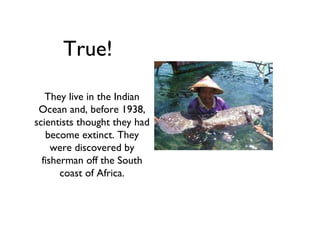 True!

   They live in the Indian
 Ocean and, before 1938,
scientists thought they had
   become extinct. They
     were discovered by
  fisherman off the South
       coast of Africa.
 