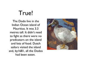True!
    The Dodo live in the
   Indian Ocean island of
    Mauritius. It was 3.3
 metres tall. It didn’t need
 to fight as there were no
 predicators on the island
  and lots of food. Dutch
  sailors visited the island
and, by1681, all the Dodos
      had been eaten.
 