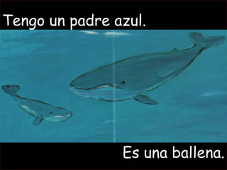 Tengo un padre azul.
Es una ballena.
 