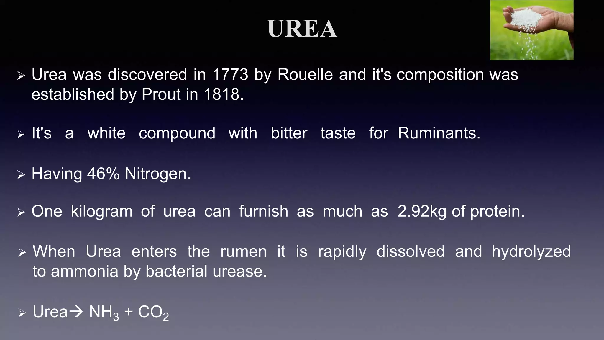 UREA
 Urea was discovered in 1773 by Rouelle and it's composition was
established by Prout in 1818.
 It's a white compound with bitter taste for Ruminants.
 Having 46% Nitrogen.
 One kilogram of urea can furnish as much as 2.92kg of protein.
 When Urea enters the rumen it is rapidly dissolved and hydrolyzed
to ammonia by bacterial urease.
 Urea NH3 + CO2
 