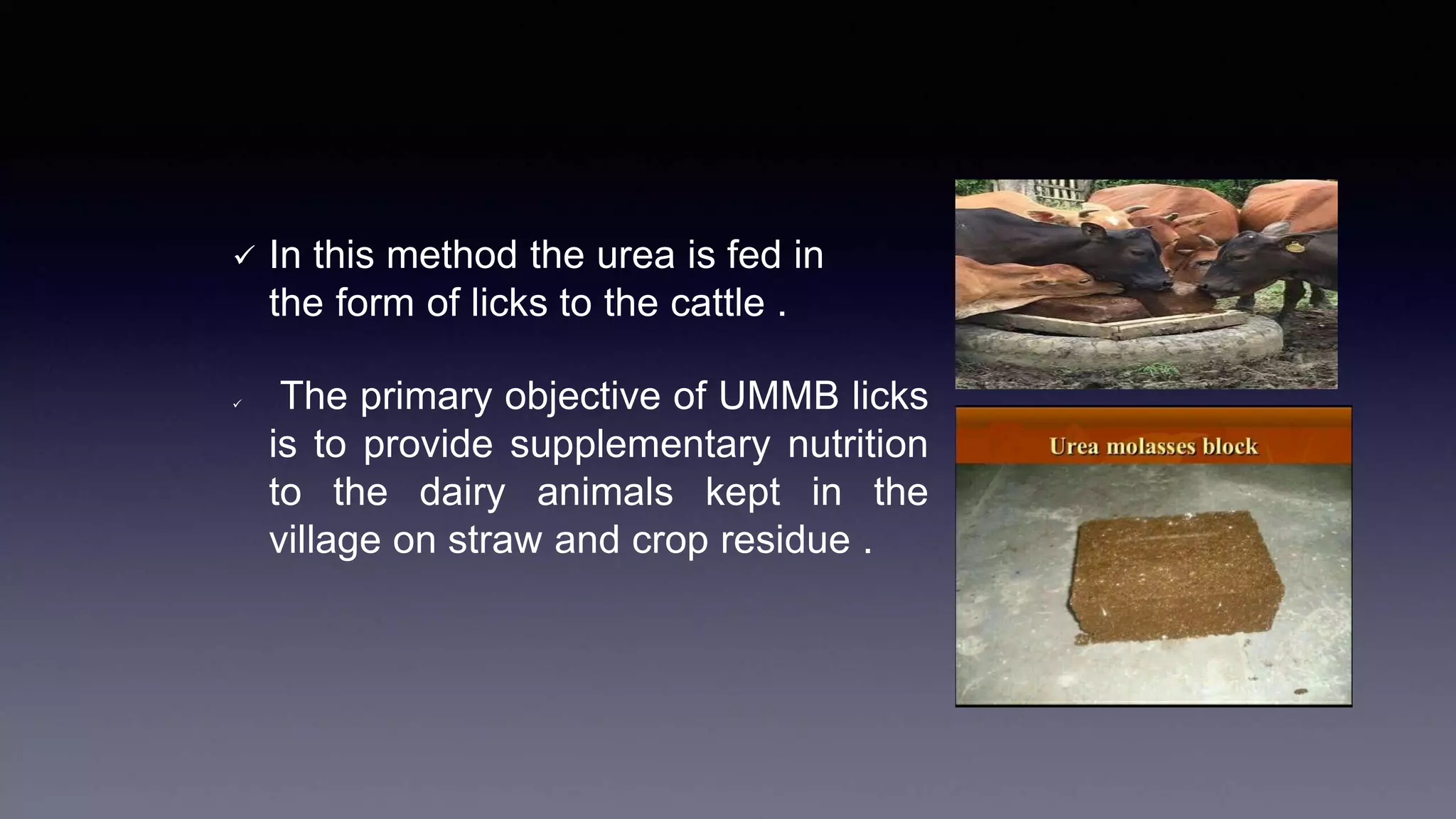  In this method the urea is fed in
the form of licks to the cattle .
 The primary objective of UMMB licks
is to provide supplementary nutrition
to the dairy animals kept in the
village on straw and crop residue .
 