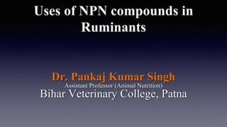 Uses of NPN compounds in
Ruminants
Dr. Pankaj Kumar Singh
Assistant Professor (Animal Nutrition)
Bihar Veterinary College, Patna
1
 