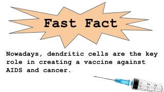 Fast Fact
Nowadays, dendritic cells are the key
role in creating a vaccine against
AIDS and cancer.
 