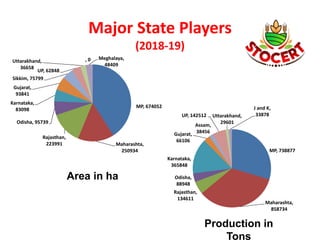 Major State Players
(2018-19)
MP, 674052
Maharashta,
250934
Rajasthan,
223991
Odisha, 95739
Karnataka,
83098
Gujarat,
93841
Sikkim, 75799
UP, 62848
Uttarakhand,
36658
Meghalaya,
48409
, 0
MP, 738877
Maharashta,
858734
Rajasthan,
134611
Odisha,
88948
Karnataka,
365848
Gujarat,
66106
Assam,
38456
UP, 142512 Uttarakhand,
29601
J and K,
33878
Area in ha
Production in
Tons
 