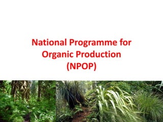 National Programme for
Organic Production
(NPOP)
 