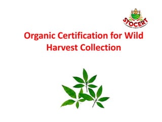 Organic Certification for Wild
Harvest Collection
 