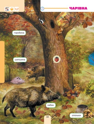 опеньки
кабан
горобина
шипшина
ЧАРІВНА
34
 