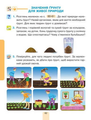 62
ЗНАЧЕННЯ ҐРУНТУ
ДЛЯ ЖИВОЇ ПРИРОДИ
1.	Розглянь малюнок на с. 60-61 . До якої природи нале-
жить ґрунт? Назви’ організми, яким для життя необхідний
ґрунт. Для яких тварин ґрунт є домівкою?
2.	 Розглянь і порівняй вологий та сухий ґрунт за кольором,
запахом, на дотик. Кинь грудочку сухого ґрунту у склянку
з водою. Що спостерігаєш? Чому з’явилися бульбашки?
3.	Поміркуйте, для чого людині потрібен ґрунт. За малюн-
ками розкажіть, як дбати про ґрунт, щоб виростити гар-
ний урожай овочів.
 