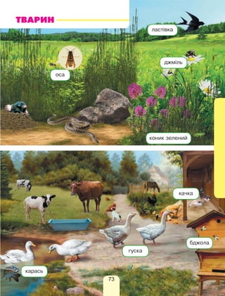 джміль
оса
ластівка
коник зелений
бджола
качка
гуска
карась
ТВАРИН
73
 