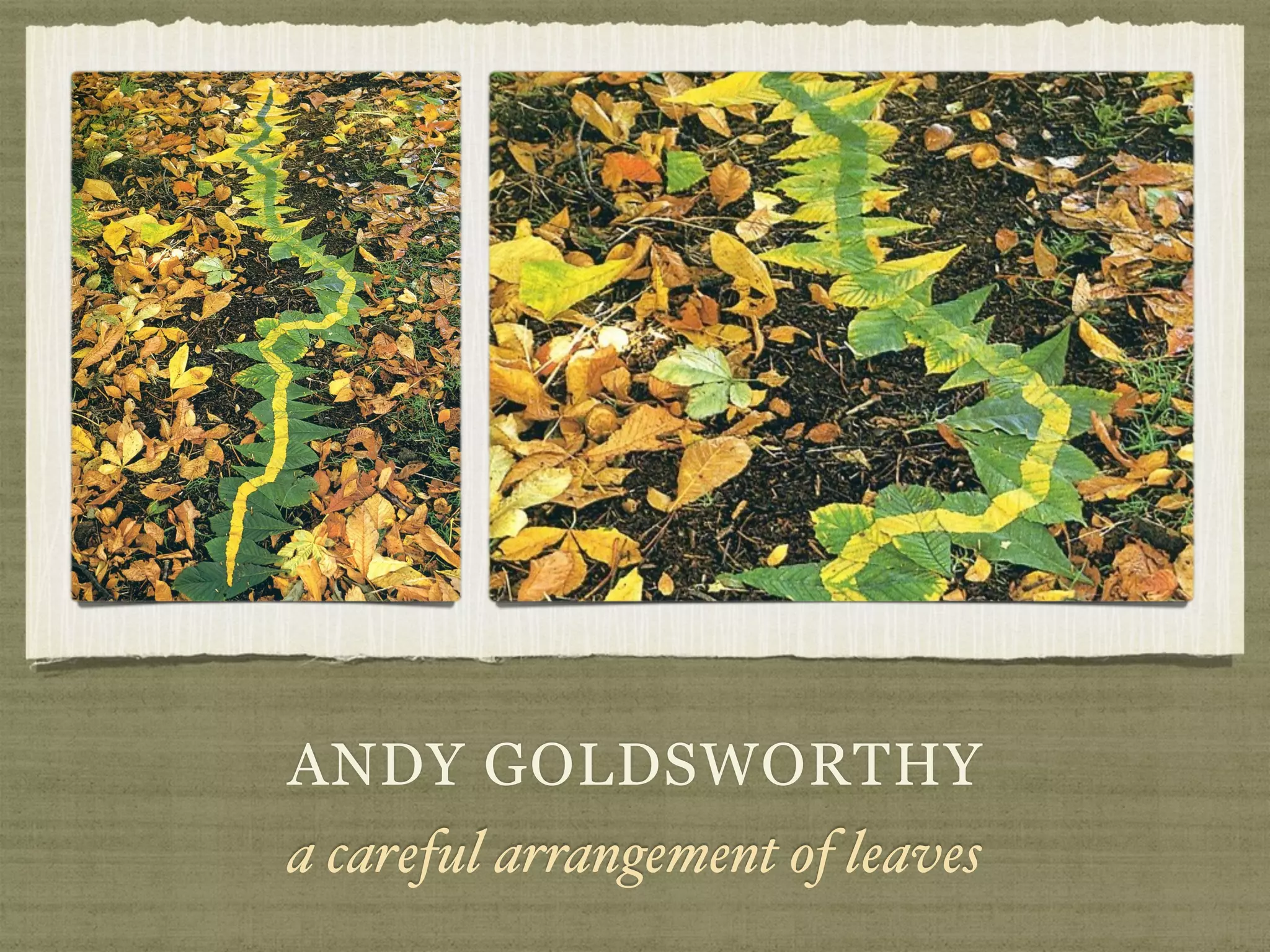 ANDY GOLDSWORTHY
a careful arrangement of leaves
 