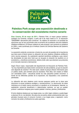 Palmitos Park acoge una exposición destinada a
la conservación del ecosistema marino canario
Gran Canaria, 05 de mayo de 2011.- Palmitos Park, el mayor parque botánico-
zoológico de Canarias, acogerá, a partir del 9 de mayo hasta el 31, la exposición
“DIADEMAR. Aprovechar para conservar”. Su objetivo es transmitir a la sociedad las
soluciones que se han encontrado ante el aumento de la población del erizo diadema
(Diadema antillarum). El Parque colabora en este proyecto, que comenzó su andadura
en 2009, y está coordinado por el Instituto Canario de Ciencias Marinas del Gobierno
de Canarias.

La exposición pretende concienciar a través de una serie de paneles de la importancia
que tiene para el litoral canario la utilización del erizo diadema (Diadema antillarum)
como recurso pesquero. Su explotación aportará beneficios ecológicos, pues reducir
las densidades de este erizo hará que se recupere la situación de equilibrio en el
ecosistema; y, beneficios económicos, debido al alto valor que alcanzan sus productos
en el mercado nacional e internacional.

Según Óscar López, responsable del departamento de Educación de Palmitos Park,
“es muy importante que todos tomen conciencien de este problema, ya que la solución
solo depende de nosotros”. Por esta razón, desde el parque ofrecen información para
un público adulto, pero también para los escolares. Para ellos, han creado un folleto
con actividades lúdico - educativas donde los más pequeños podrán encontrar, a
través de los diferentes paneles de la exposición, las respuestas a las cuestiones
planteadas.

La utilización del erizo diadema como recurso pesquero podría ser la clave para
solucionar el actual problema ecológico y socioeconómico. La disminución de estos
individuos en el medio marino provocaría un equilibrio en el ecosistema. Además, su
explotación comercial beneficiaría a determinados sectores, ya que se pueden
producir auténticos manjares para nuestro paladar o harinas, piensos y fertilizantes.

El erizo diadema destaca por sus largas púas y su color negro violáceo y puede llegar
a alcanzar 40 cm. de diámetro. De este erizo se podría utilizar prácticamente todo: sus
gónadas (huevas) para el consumo humano y sus largas púas y caparazón, como
corrector de acidez y fertilizante de suelos agrícolas.
 