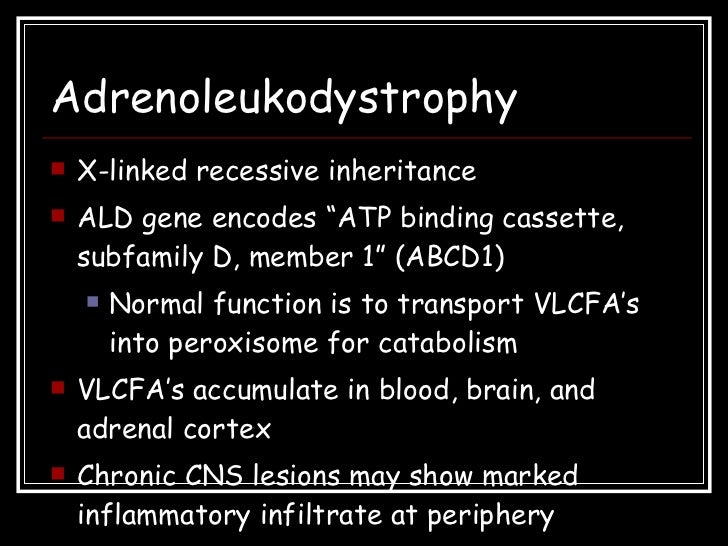 x linked adrenoleukodystrophy x linked adrenoleukodystrophy