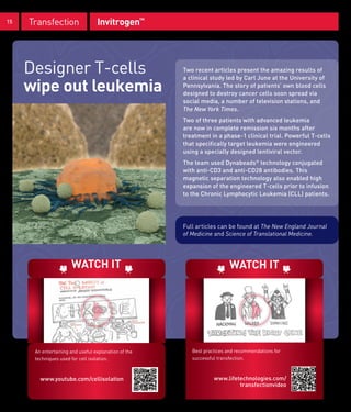 15   Transfection                 Invitrogen™




     Designer T-cells                                 Two recent articles present the amazing results of
                                                      a clinical study led by Carl June at the University of
     wipe out leukemia                                Pennsylvania. The story of patients’ own blood cells
                                                      designed to destroy cancer cells soon spread via
                                                      social media, a number of television stations, and
                                                      The New York Times.
                                                      Two of three patients with advanced leukemia
                                                      are now in complete remission six months after
                                                      treatment in a phase-1 clinical trial. Powerful T-cells
                                                      that specifically target leukemia were engineered
                                                      using a specially designed lentiviral vector.
                                                      The team used Dynabeads® technology conjugated
                                                      with anti-CD3 and anti-CD28 antibodies. This
                                                      magnetic separation technology also enabled high
                                                      expansion of the engineered T-cells prior to infusion
                                                      to the Chronic Lymphocytic Leukemia (CLL) patients.




                                                      Full articles can be found at The New England Journal
                                                      of Medicine and Science of Translational Medicine.




                      WATCH IT                                           WATCH IT




      An entertaining and useful explanation of the      Best practices and recommendations for
      techniques used for cell isolation.                successful transfection.



        www.youtube.com/cellisolation                             www.lifetechnologies.com/
                                                                           transfectionvideo
 