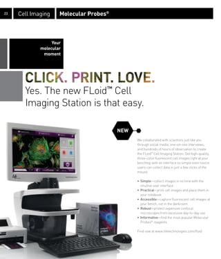 23   Cell Imaging    Molecular Probes®



                  Your
             molecular
              moment




       Yes. The new FLoid™ Cell
       Imaging Station is that easy.

                                         NEW
                                               We collaborated with scientists just like you
                                               through social media, one-on-one interviews,
                                               and hundreds of hours of observation to create
                                               the FLoid™ Cell Imaging Station. Get high-quality,
                                               three-color fluorescent cell images right at your
                                               benchtop with an interface so simple even novice
                                               users can collect data in just a few clicks of the
                                               mouse.

                                               • Simple—collect images in no time with the
                                                 intuitive user interface
                                               • Practical—print cell images and place them in
                                                 your notebook
                                               • Accessible—capture fluorescent cell images at
                                                 your bench, not in the darkroom
                                               • Robust—protect expensive confocal
                                                 microscopes from excessive day-to-day use
                                               • Informative—find the most popular Molecular
                                                 Probes® reagents

                                               Find now at www.lifetechnologies.com/floid
 