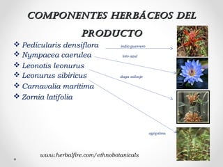 Componentes herbáCeos delComponentes herbáCeos del
produCtoproduCto
 Pedicularis densiflora indio guerrero
 Nympacea caerulea loto azul
 Leonotis leonurus
 Leonurus sibiricus daga salvaje
 Carnavalia marítima
 Zornia latifolia
www.herbalfire.com/ethnobotanicals
agripalma
 