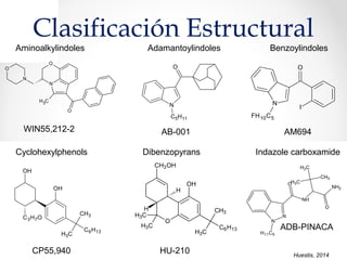 Clasificación Estructural
CH3
CH3
C6H13
O
CH3
CH3
H
H
OH
CH3OH
Dibenzopyrans
OH
OH
CH3
CH3
C6H13
C3H7O
CP55,940 HU-210
Cyclohexylphenols
Aminoalkylindoles
N
O
O
N
O
CH3
WIN55,212-2
O
I
N
FH10C5
Benzoylindoles
AM694
NH
O
N
N
NH2
O
CH3
CH3
CH3
H11C5
Indazole carboxamide
ADB-PINACA
Adamantoylindoles
C5H11
N
O
AB-001
Huestis, 2014
 