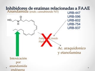 Inhibidores de enzimas relacionadas a FAAEInhibidores de enzimas relacionadas a FAAE
Anandamida (endo. cannabinoide NT)
Ac. araquidonico
y etanolamina
Fatty Acid Amide
Hydrolase
URB-447
URB-596
URB-602
URB-754
URB-937
X
Intoxicación
por
anandamida
endógena
 