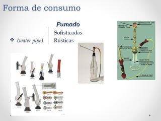 FumadoFumado
Sofisticadas
 (water pipe) Rústicas
 comunes
 