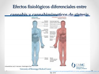 Efectos fisiológicos diferenciales entreEfectos fisiológicos diferenciales entre
cannabis y cannabimimeticos de síntesiscannabis y cannabimimeticos de síntesis
http://emergency.cdc.gov/coca/ppt/2016/03_31_2016_synthetic_cannnabinoids_coca_cal
Mar, 2016
 