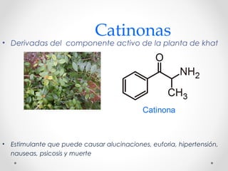 Catinonas
• Derivadas del componente activo de la planta de khat
• Estimulante que puede causar alucinaciones, euforia, hipertensión,
nauseas, psicosis y muerte
 