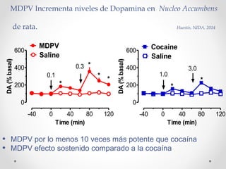 MDPV Incrementa niveles de Dopamina en Nucleo Accumbens
de rata. Huestis, NIDA, 2014
-40 0 40 80 120
0
200
400
600
Saline
MDPV
0.1
0.3
*
*
* *
Time (min)
DA(%basal)
-40 0 40 80 120
0
200
400
600
Saline
Cocaine
1.0
3.0
*
*
Time (min)DA(%basal)
• MDPV por lo menos 10 veces más potente que cocaína
• MDPV efecto sostenido comparado a la cocaína
 